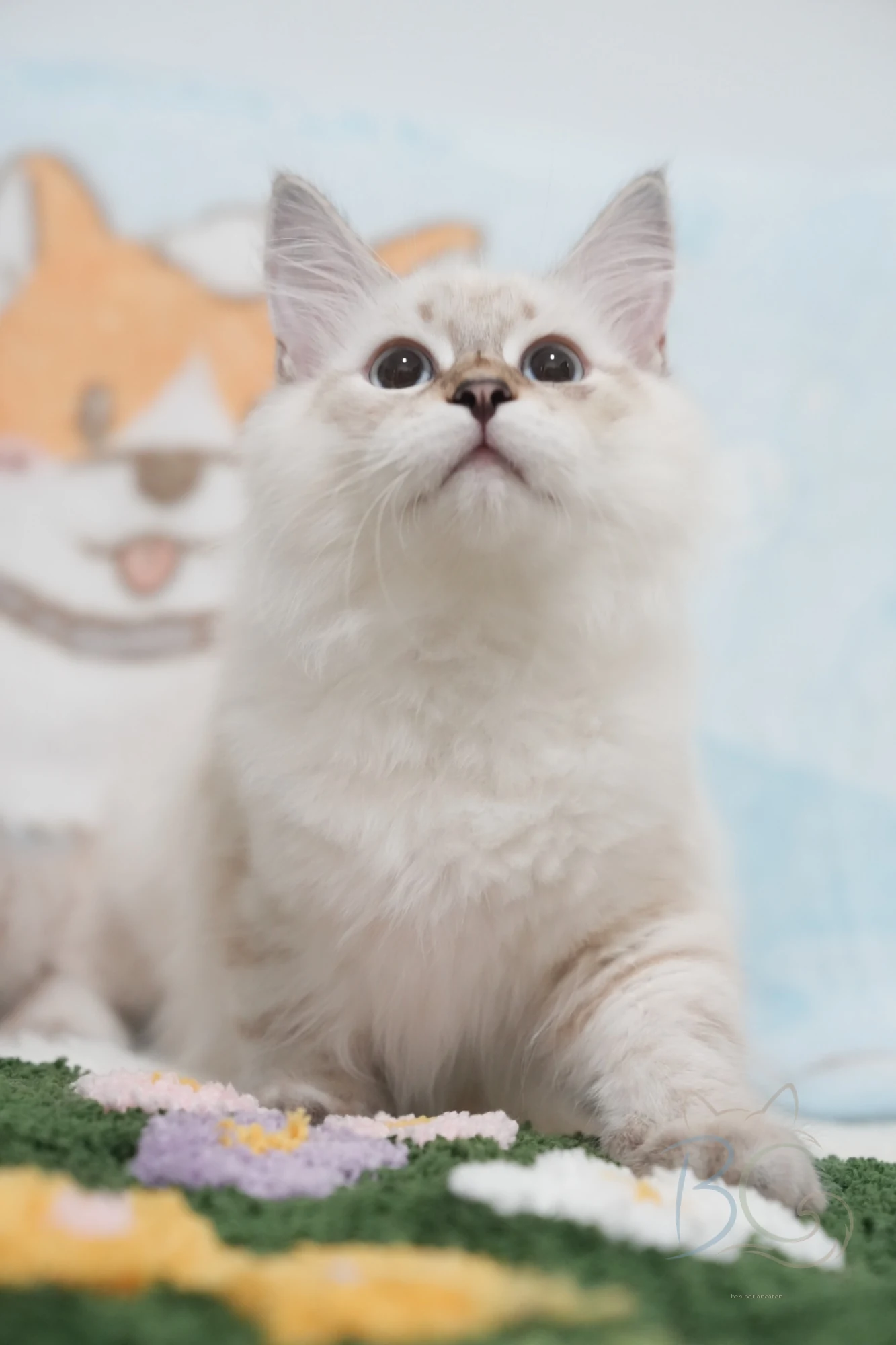 悠悠真实照片 7
