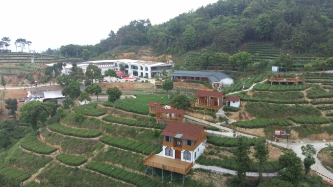 坡地茶垄、园路与多座庄园建筑