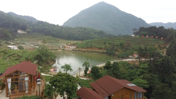 山脚、水面、坡地茶园与庄园建筑