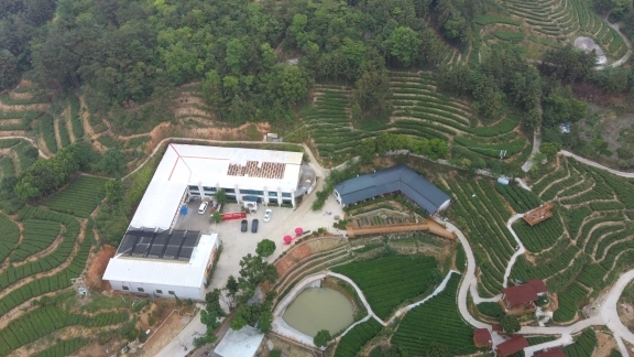茶园、建筑、道路与水塘的俯视画面