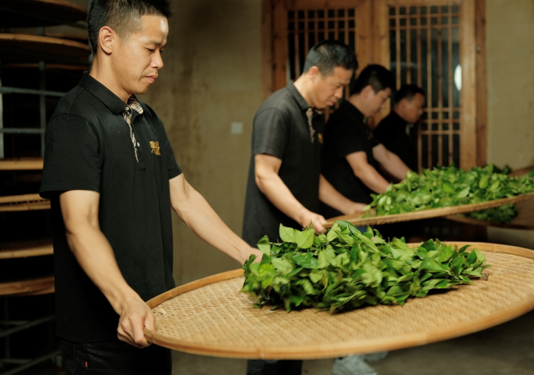 制茶人员在竹筛上进行武夷岩茶做青